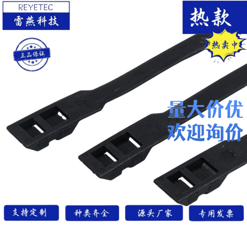 REYETEC 雷燕科技  DL-300白色-双锁式扎线带 100根