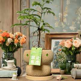 水泥花盆卡通自然高颜值马赛克透气海棠兰花透气多肉其他