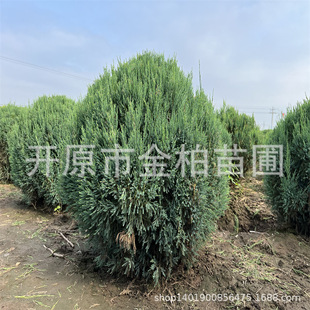 �Ȱ���1-1.5 �Ȱ���������ͥԺ������G�h�o����|�����С��