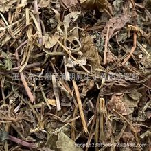 ��Ʒ��ș�ĸ�؛͸�����B�X���g���� ÿ��500�� �����Ĕz��Ѭ��