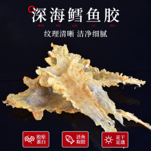 花胶煲汤炖奶用干鳕鱼胶 15头55头鳕鱼胶批发足干鱼胶海产品批发