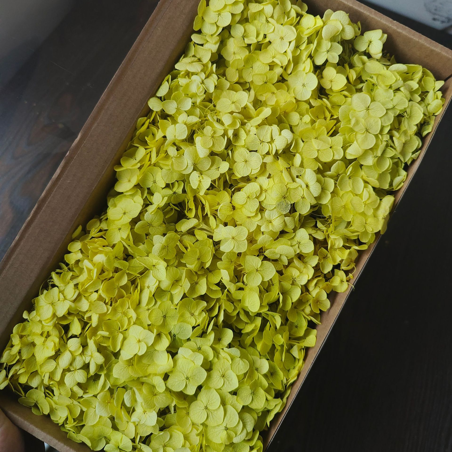 Flor eterna Hortensia Anna pequeña hoja flor seca flor real árbol de Navidad ventilador hecho a mano ramo DIY material paquete flor