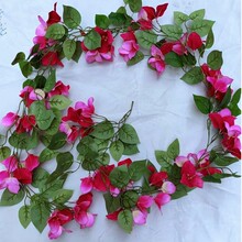 �羳��������÷�������ٻ��͏d�[������b�����õ�쾰���ٗl����