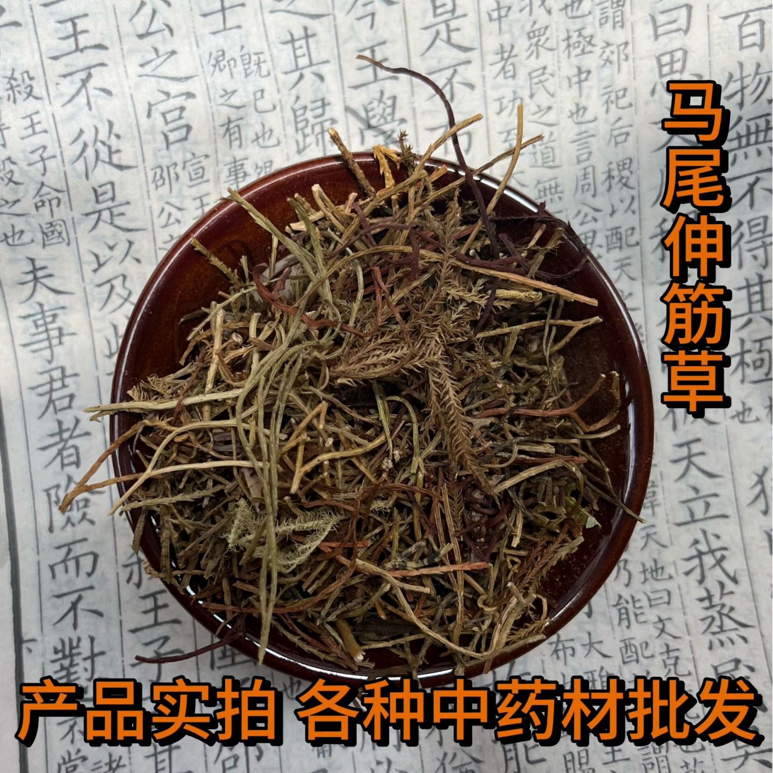 中药材马尾伸筋草，狮子草，牛尾伸筋批发