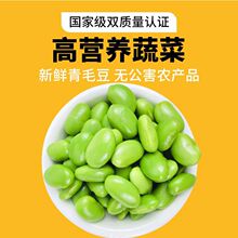 农家自种新鲜去壳毛豆仁去皮青豆粒冷冻菜用生毛豆毛豆米当季黄豆