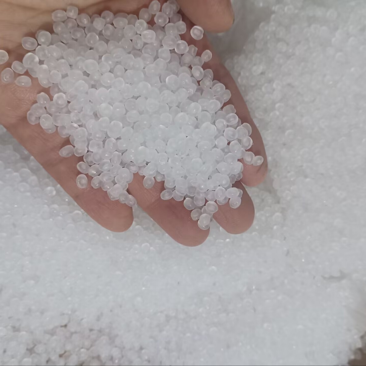 진주쌀 0.5kg