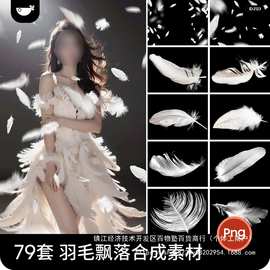 梦幻羽毛飘落艺术写真照装饰合成PNG免扣图片影楼后期修图PS素材