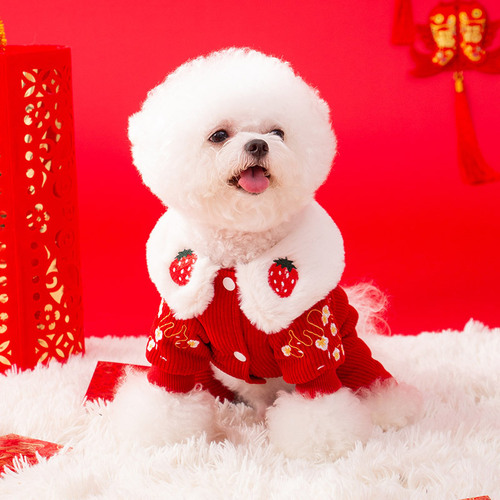 Autumn and winter dog strawberry doll collar embroidered New Year four-legged Tang suit cat warm thickened cotton coat pet clothes