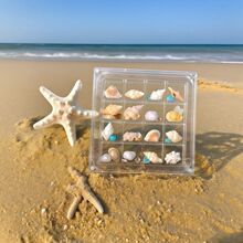 16͸ؐռ{к߅ʯ^˱ռչʾ