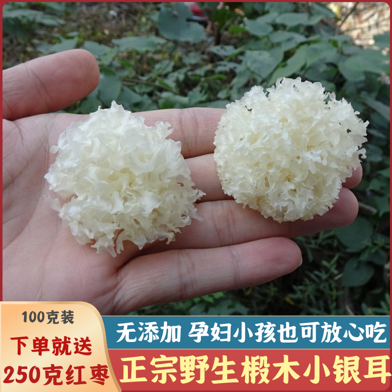 神农架椴木小银耳100g高山丑雪耳糯银耳雪燕桃胶莲子羹白木耳干货