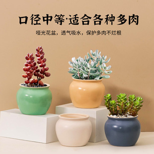 ���⺆�s�A�Ƕ��⻨���ҵ��������������Ծ����R����̖͸���մ�