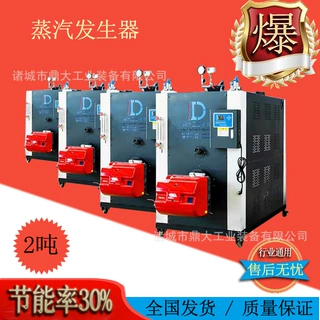 燃油燃气蒸汽发生器 化工纺织食品加工T梁燃油燃气桥梁蒸汽养护机