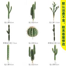 ���������Ƽ����������������򙻴��쾰����ֲ���������ɳ��ֲ��