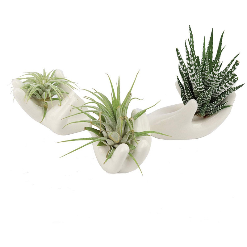 Air plant stand ceramic air plant container for plant display hand stand White