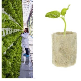 Cross-border agricultural hydroponic cuttings cylindrical soilless culture matrix rock wool plug 27*20
