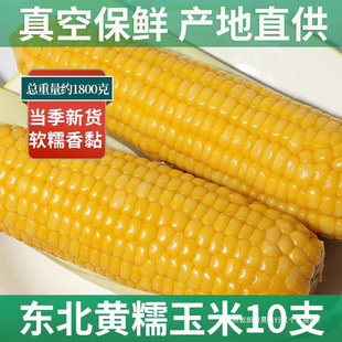 ���ږ|���������SŴ������հ��bܛŴ���ճ���D����ּZ����10��