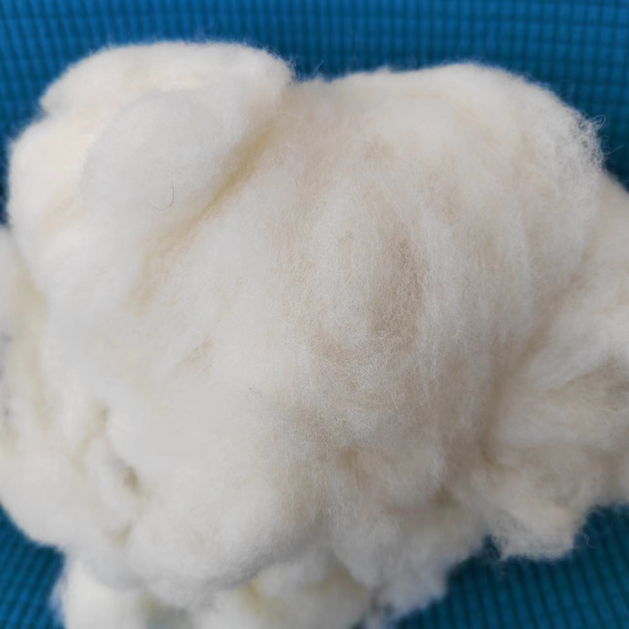 f4e9c7829dcbc9611aedcfb3419ecd