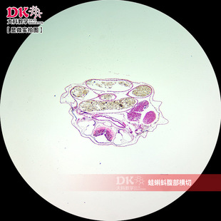 �߽̘�׼�M���@΢�R��Ƭ�˱�����̌Wʹ�� ����򽸹���M��