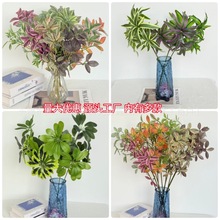 ����ͮ������ͮ�����Gֲ3��ٺ���ٻ�ͥԺ�@ˇ����ľֲ��羳