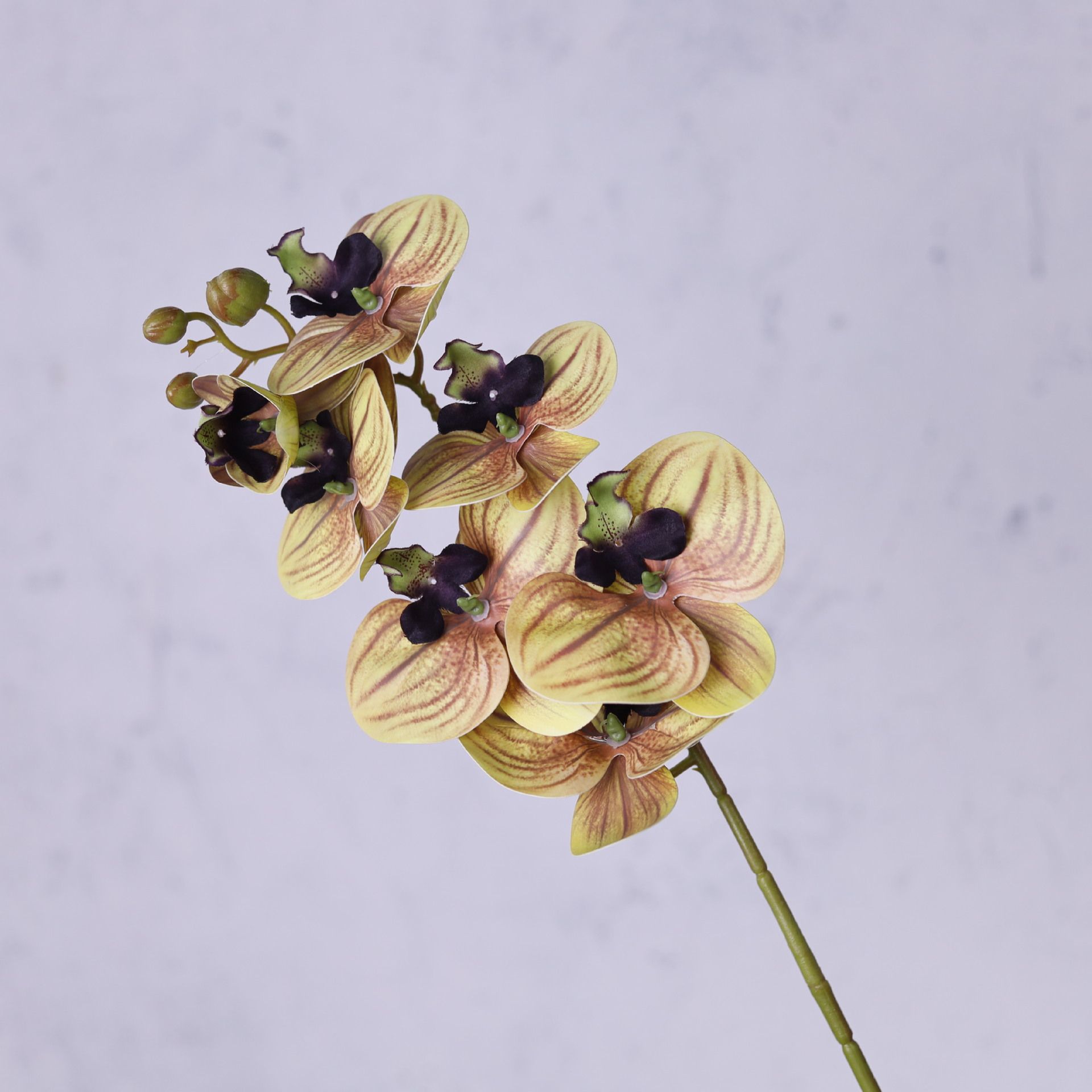 Impresión 3D de 7 cabezas de orquídeas mariposa flor de decoración de flores de alto nivel flor de nicho decoración floral decoración de sala de estar