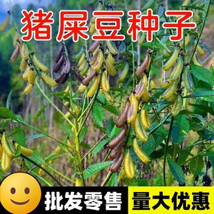 �iʺ���N�Ӷ������o�¹�����ľ�������B�ޏ͹��̾G�����}�|�ݷN��