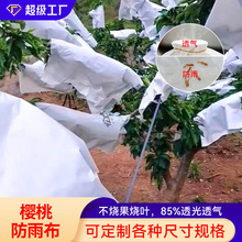 ܇���Ә����겼���ҷ������ӷ��ѹ����x���B͸��͸�����겼���r��
