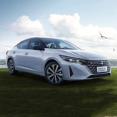 Car clothing — Sylphy, X-Trail, Qashqai, Teana - blue-plus-velvet-thickening-hybrid-sylphy