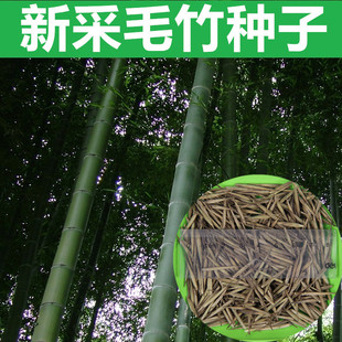 �²����ӷN�� ë��N�� ���� ����N�� ����N�� ������ ���N��