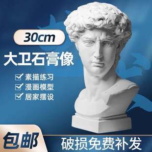 David Statue Plaster Head Figure Small Medium Art Sketch Model Decoration Sculpture Photography Wedding Manufacturer