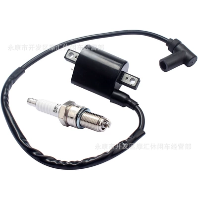 spark plug J38-82310-20-00, Alovlanma bobini (Babinalar)