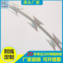 304 P䓵ƬK̾WIWFzWI\KW