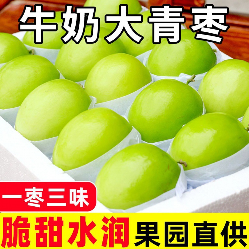 milk Fruit fresh Fujian Royal candied jujube Avacado Jujube Season fruit Gift box On behalf of