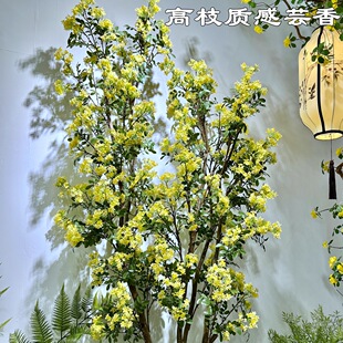 �¿��Sɫ���㻨 ��֦�|��ܿ�� ������Y��ܛ�b�ҾӾƵ��bٻ�