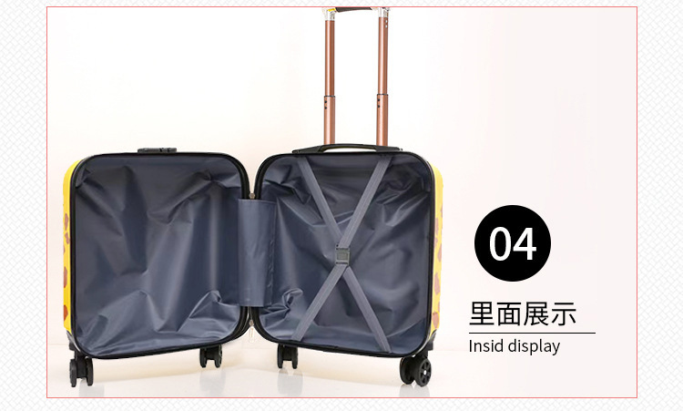 小狮子 内里.jpg