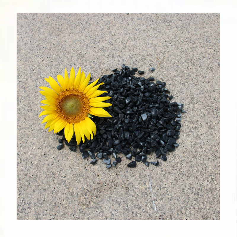 Black Pebbles Stone߶˽ͥԺ쾰ʯ ݶ԰װʯ