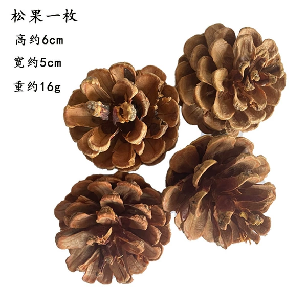 5-6cm