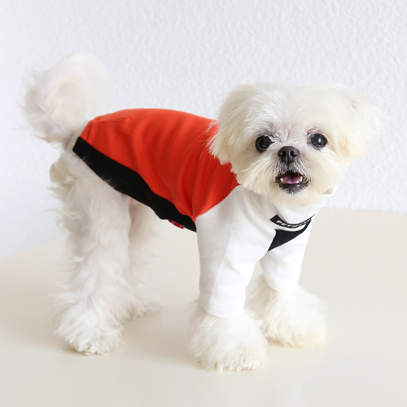 Petstyle 三原色跃动打底衫 2025秋冬新款 狗狗猫咪服装宠物狗衣|undefined