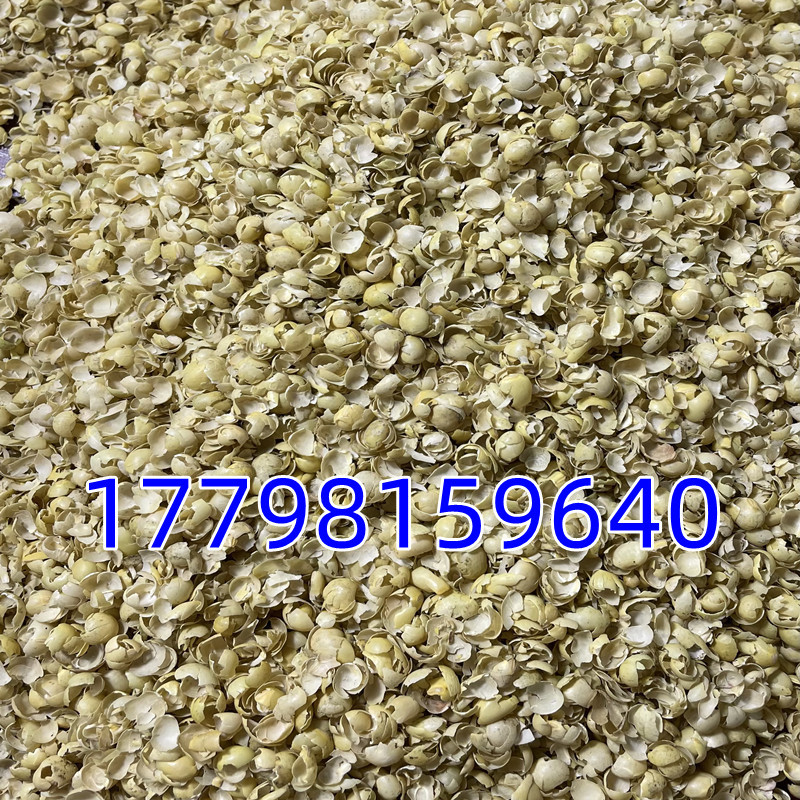 微信图片_202211290919511_副本_副本