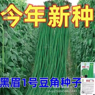 ��üһ̖���L���ǷN�����l�����N��ԭ�b�ļ��߲˶��ǷN�Ӵ�ȫ���l