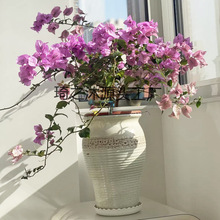 ��̖���⻨���մ�����÷��������̨��β���Gֲ͸����������