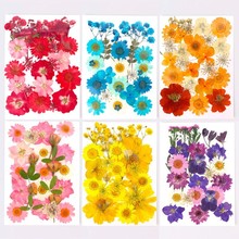 diy压花真花干花标本材料滴胶书签手工风干植物押花树叶装饰摆件