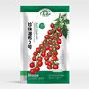 Pearl Waterfall Little Tomato Seed Seeds Seeds Grave Virgin Fruit West Tomato Four Seasons Potted Vegetable Seedling Seedlings