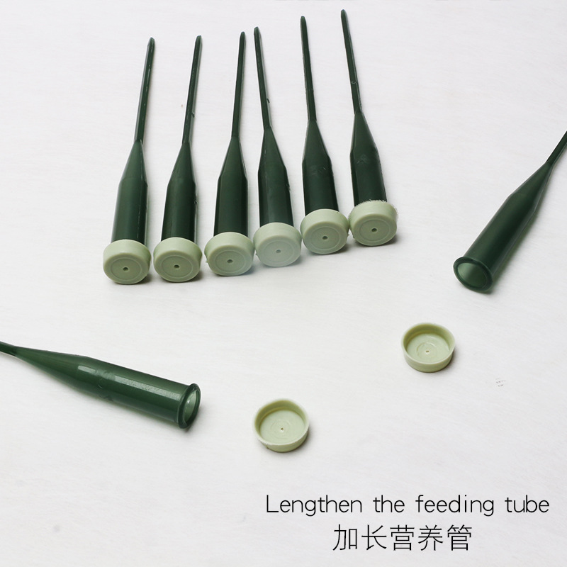 Huaxi flor fresca tubo de almacenamiento de agua alargado tubo de orquídea con palo orquídea mariposa injerto florista floral tubo de retención de agua