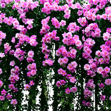 ����õ��d�ӻ��ٻ��ٗl���������̨�����ړ��b����҃ȱڒ젝