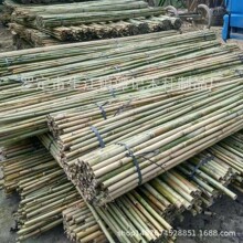 �V�|�S���Ԯa���N �������������S�Gɫ��U����U���������U