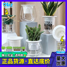 厂家现货 热销免吸水C球形 塑料创意透明自吸水懒人花盆 批发供应