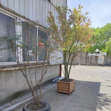 �X�Ͻ������M�ϬF؛��ľ�y����¶̨�N�����Fˇ����ͥԺ�Nֲ��