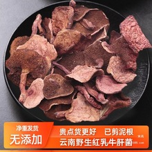红乳牛肝菌干货纯野生云南特产新鲜天然牛肝菌酱即食下饭菜牛肝菌