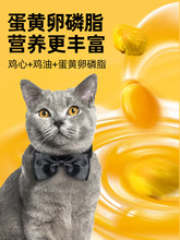 多特思鱼肉猫粮幼猫成猫英短美短奶糕粮全阶段通用型