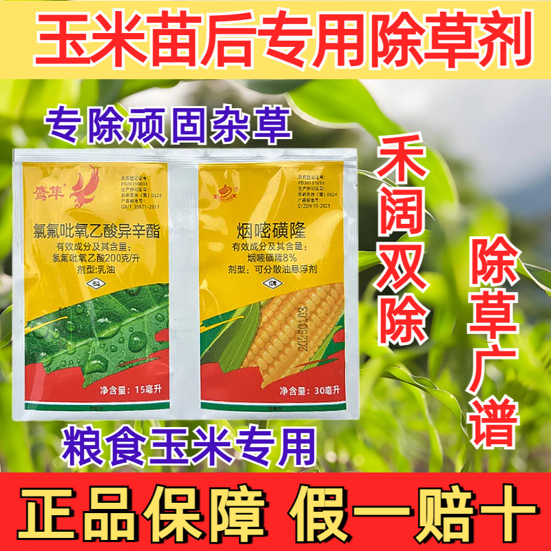 农药拿货批发鹰隼玉米苗后除草剂烟嘧磺隆氯氟吡氧乙酸禾阔双除
